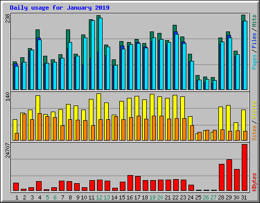 Daily usage for January 2019