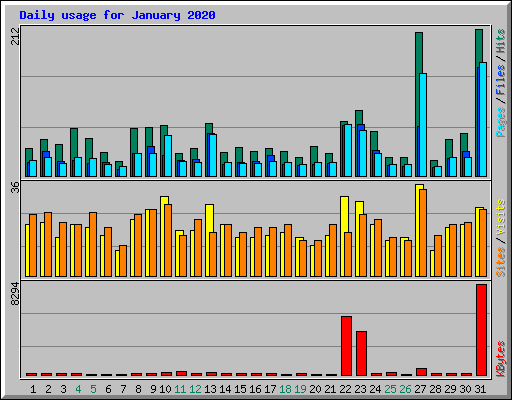 Daily usage for January 2020