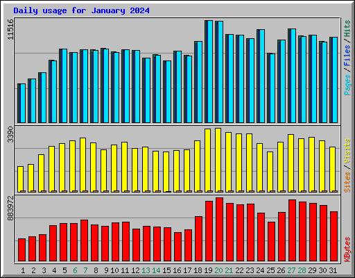 Daily usage for January 2024