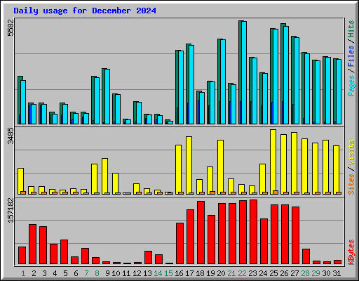 Daily usage for December 2024