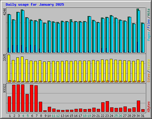 Daily usage for January 2025