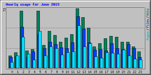 Hourly usage for June 2015