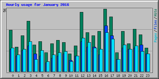 Hourly usage for January 2016