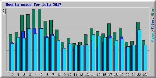 Hourly usage for July 2017