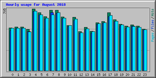 Hourly usage for August 2018