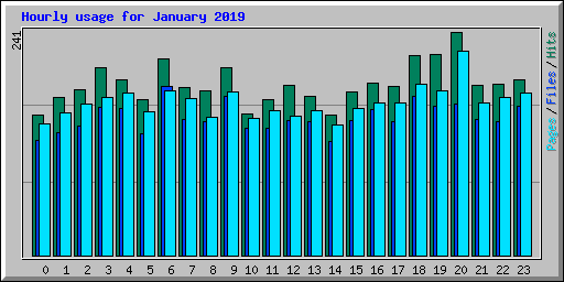 Hourly usage for January 2019