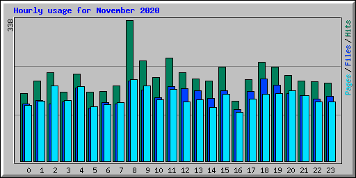 Hourly usage for November 2020