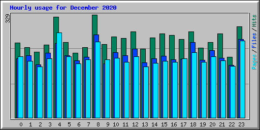 Hourly usage for December 2020