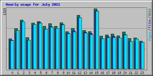 Hourly usage for July 2021