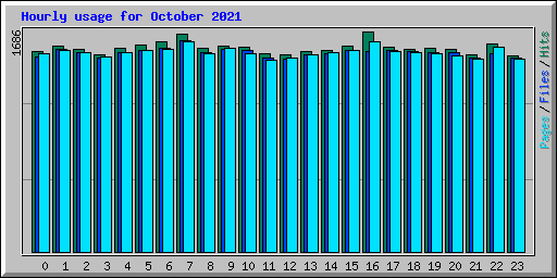 Hourly usage for October 2021