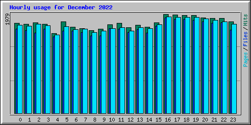 Hourly usage for December 2022