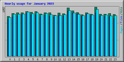 Hourly usage for January 2023