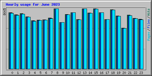 Hourly usage for June 2023