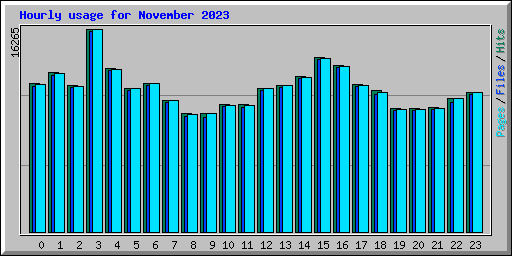 Hourly usage for November 2023