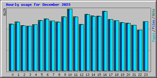 Hourly usage for December 2023