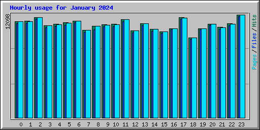 Hourly usage for January 2024