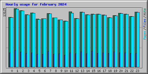 Hourly usage for February 2024