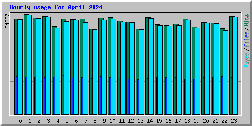 Hourly usage for April 2024