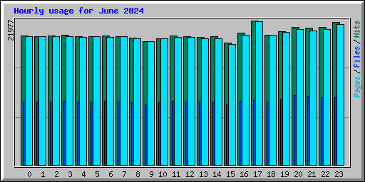 Hourly usage for June 2024