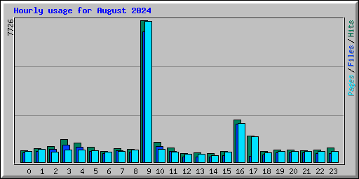 Hourly usage for August 2024