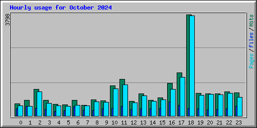 Hourly usage for October 2024