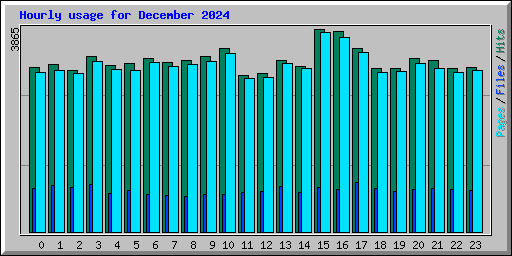 Hourly usage for December 2024