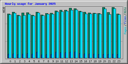 Hourly usage for January 2025