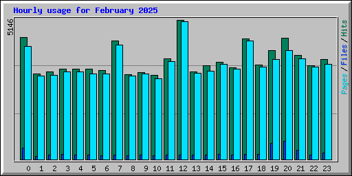 Hourly usage for February 2025