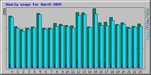 Hourly usage for March 2025