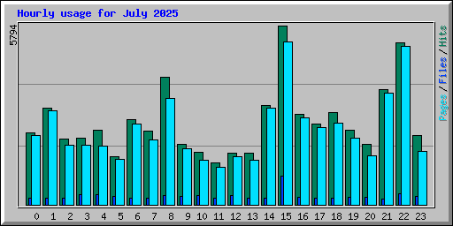 Hourly usage for July 2025