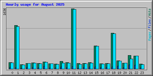 Hourly usage for August 2025